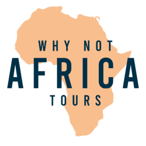 Why Not Africa Tours