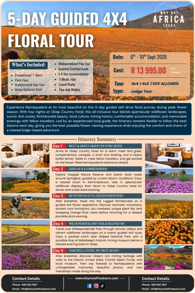 Why Not Africa Tours photo 5