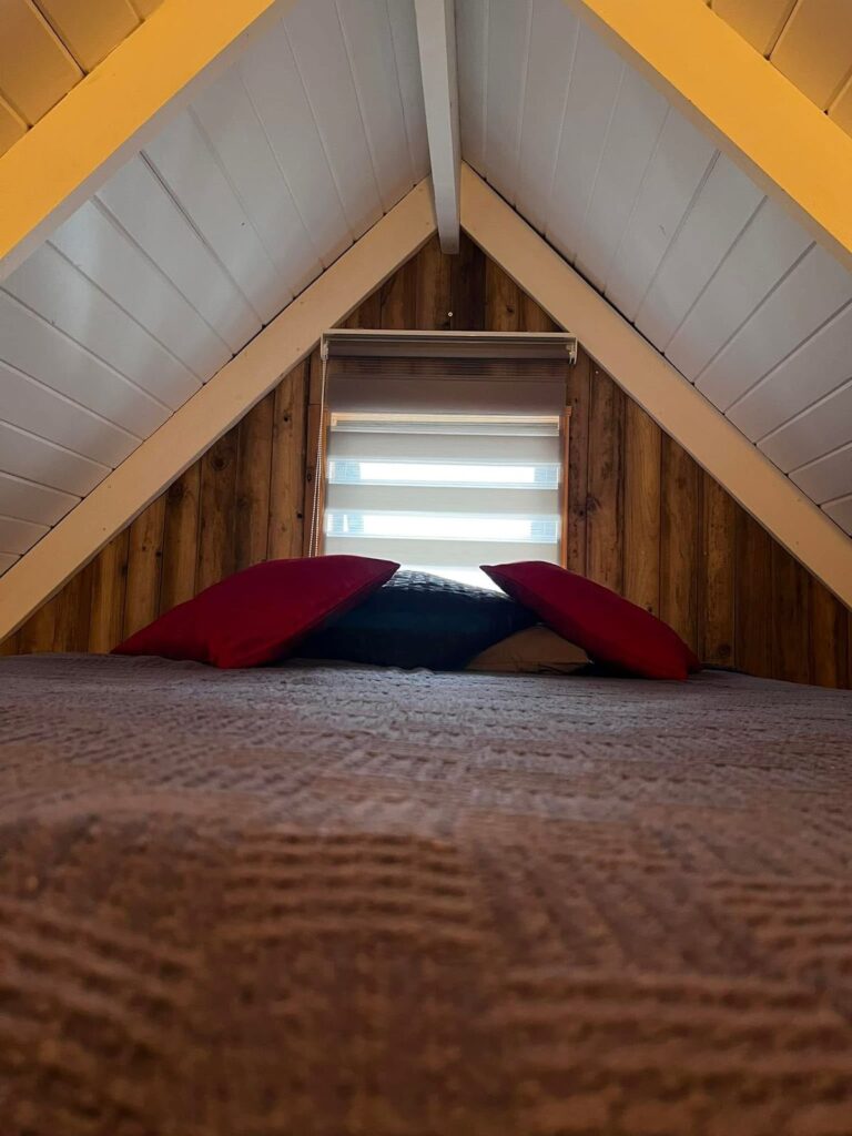 Sunflower & Suikerbossie Tiny House photo 7
