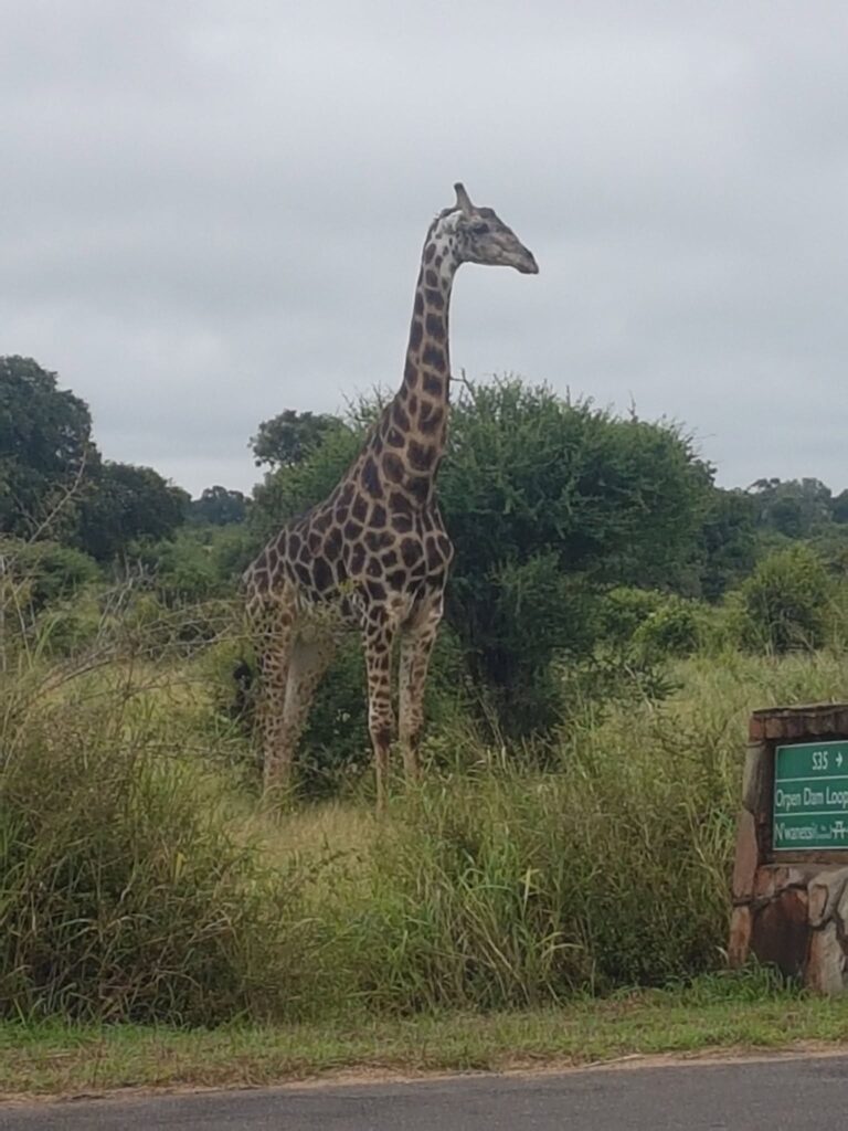 SA Extreme Adventures and Tours photo 2