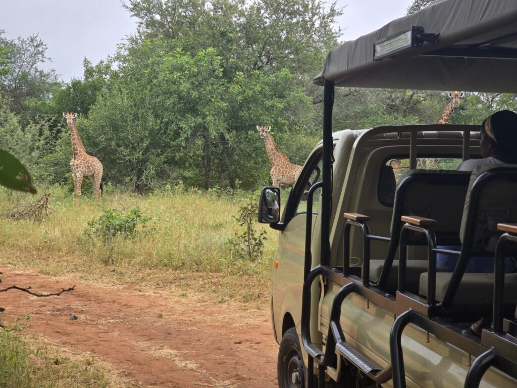 Leopard Rock Guest Lodge photo 9