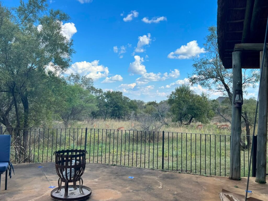 Bushwillow Estate – Kudu Plaas photo 12
