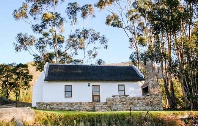 Protea Farm photo 4