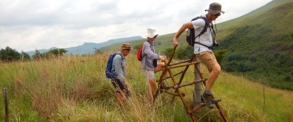 Antbear Eco Lodge photo 9