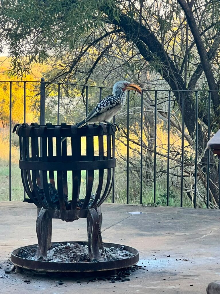 Bushwillow Estate – Kudu Plaas photo 18